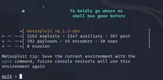 Metasploit6.0系列教程 -- MSF术语
