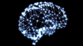神经网络：模拟人脑以实现智能决策