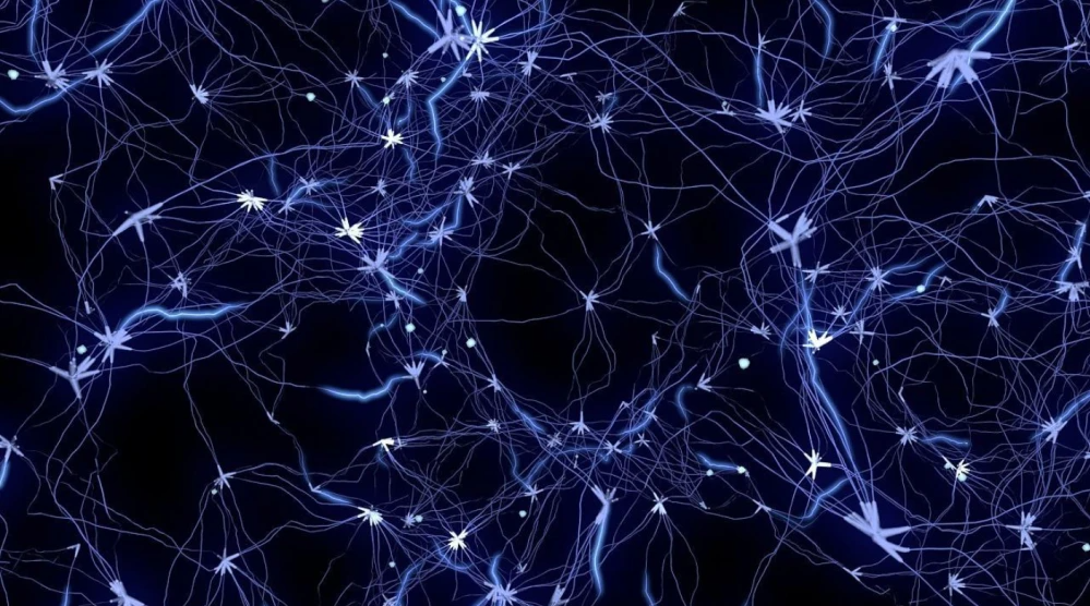 神经网络与深度学习的入门指南