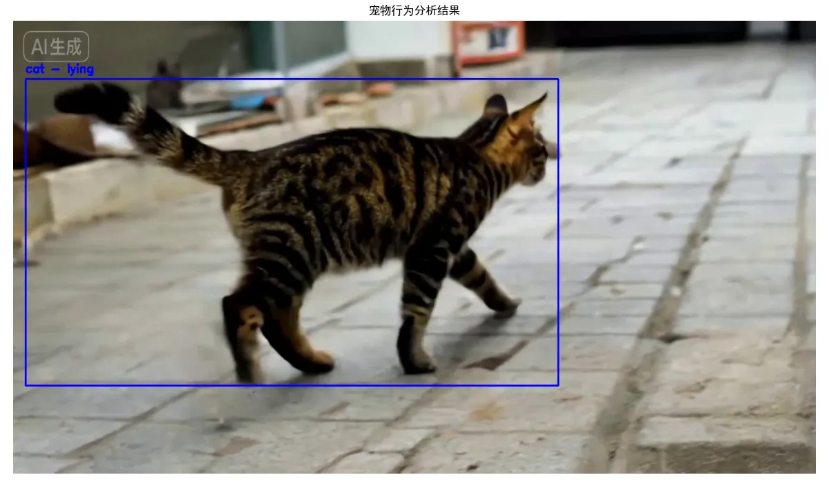96.10-视频宠物行为分析结果3.png