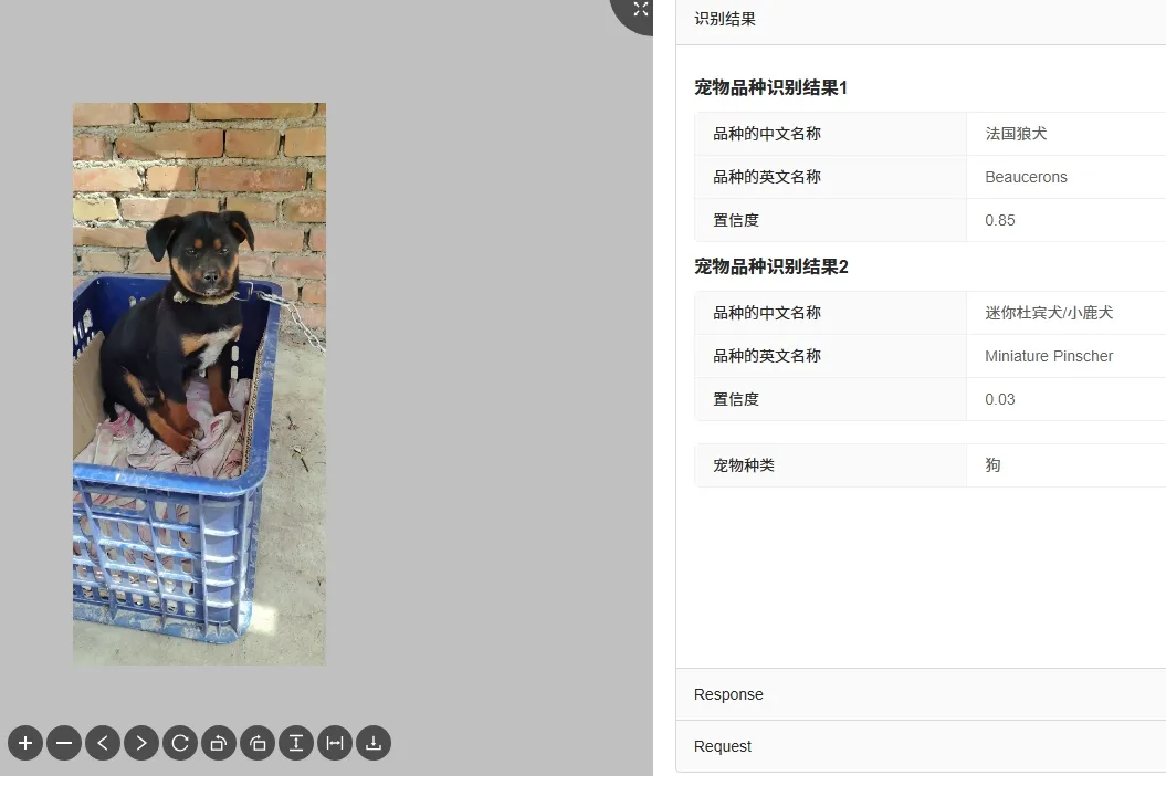 快瞳AI开放平台宠物品种识别测试效果.png