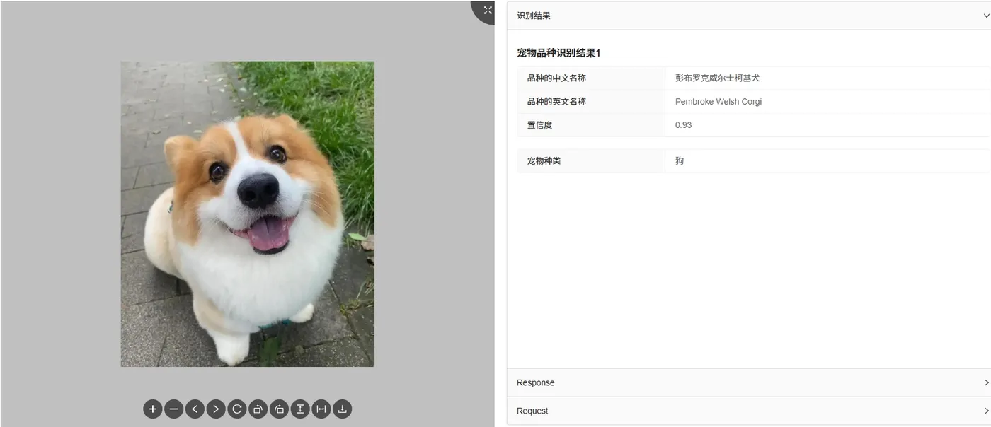 快瞳AI开放平台宠物品种识别.png