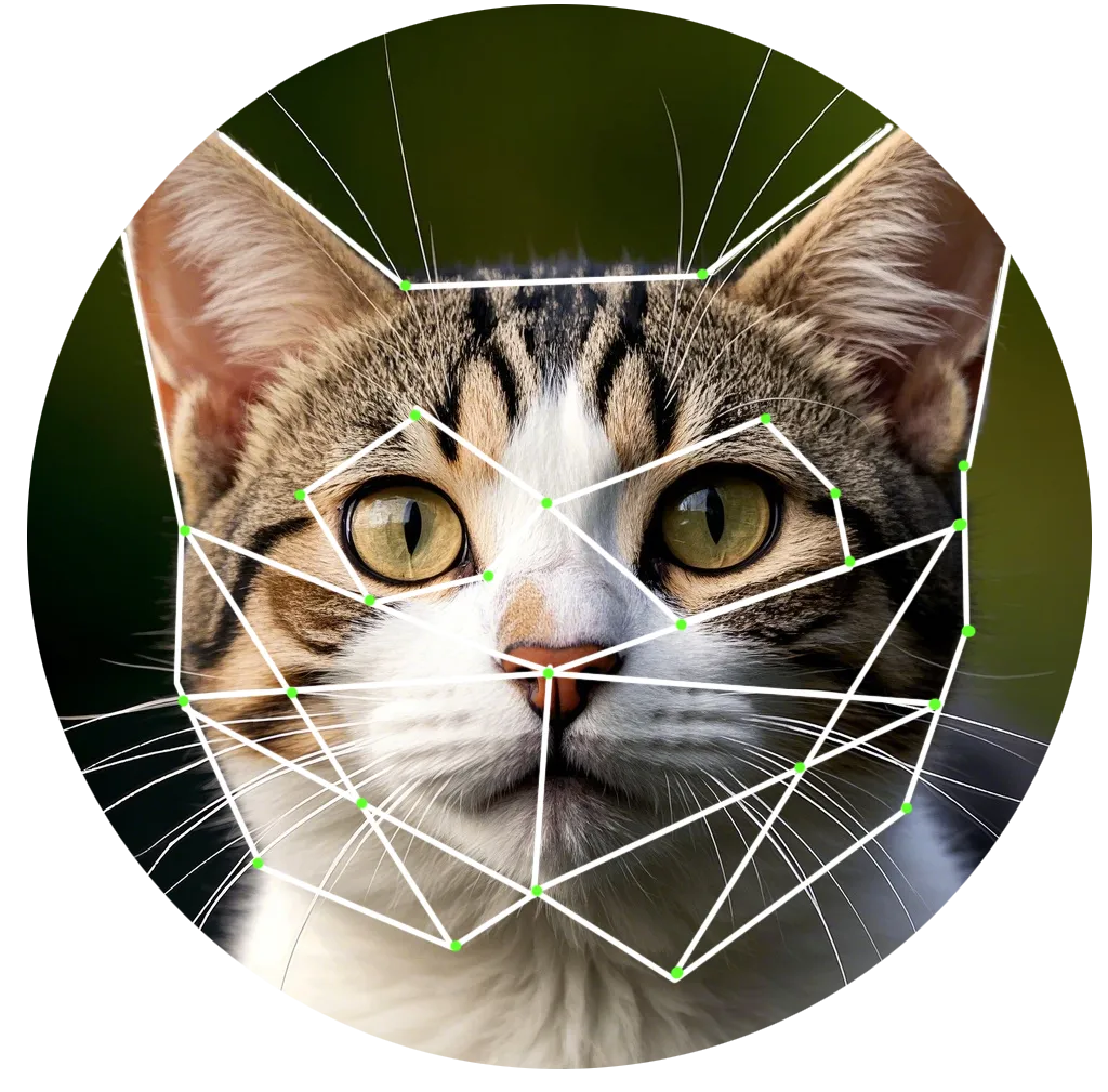 AI 扫描猫狗面部.png