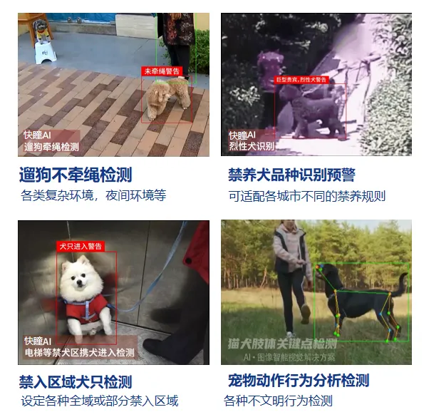 快瞳独家宠物识别算法.png