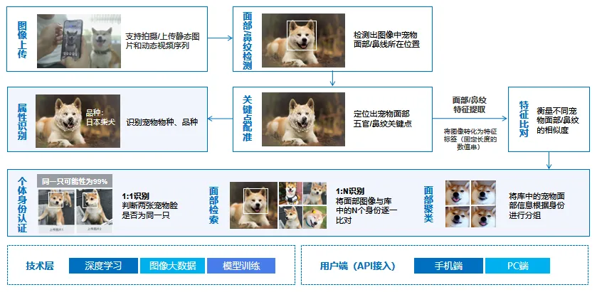 下载12123.png