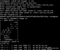linux中ssh免密登录及HTTP详解