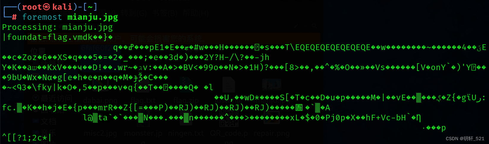 BUUCTF面具下的flag解题思路详解ZIP伪加密与Brainfuck解码-开发者社区-阿里云