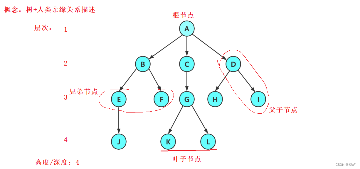 1.树的概念及结构