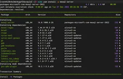 Anolis/AliyunLinux 安装 （MSSQL）SQL Server 2022 数据库