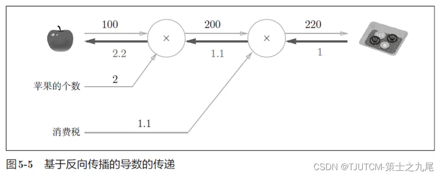 25.png 25.png