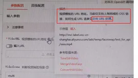 视觉智能开放平台产品使用合集之模板视频人脸融合是否支持通过服务端调用或者客户端调用