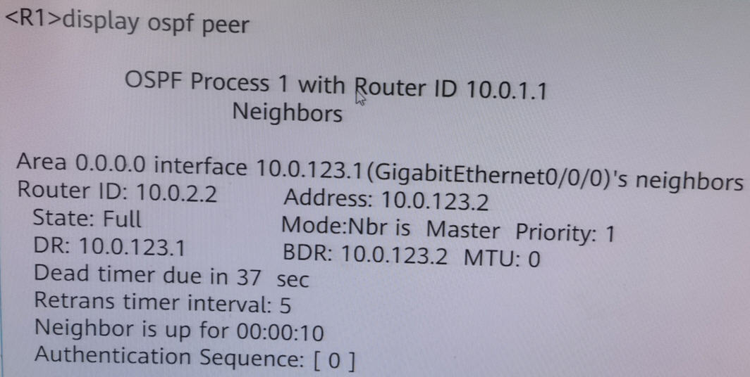 【华为数通HCIP | 网络工程师】821-IGP高频题、易错题之OSPF（4）