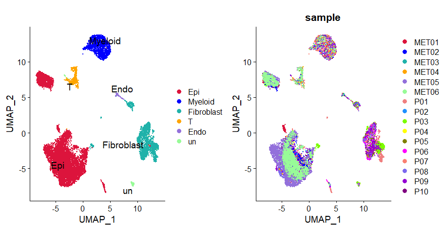 scRNA分析|单细胞文献Fig1中的分组umap图和细胞比例柱形图-阿里云开发者社区