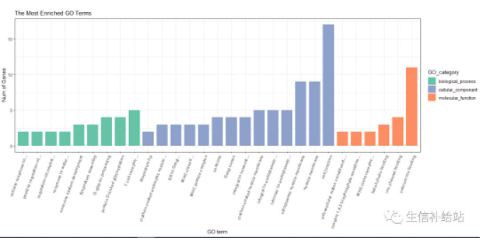 ggplot2|绘制GO富集柱形图-阿里云开发者社区