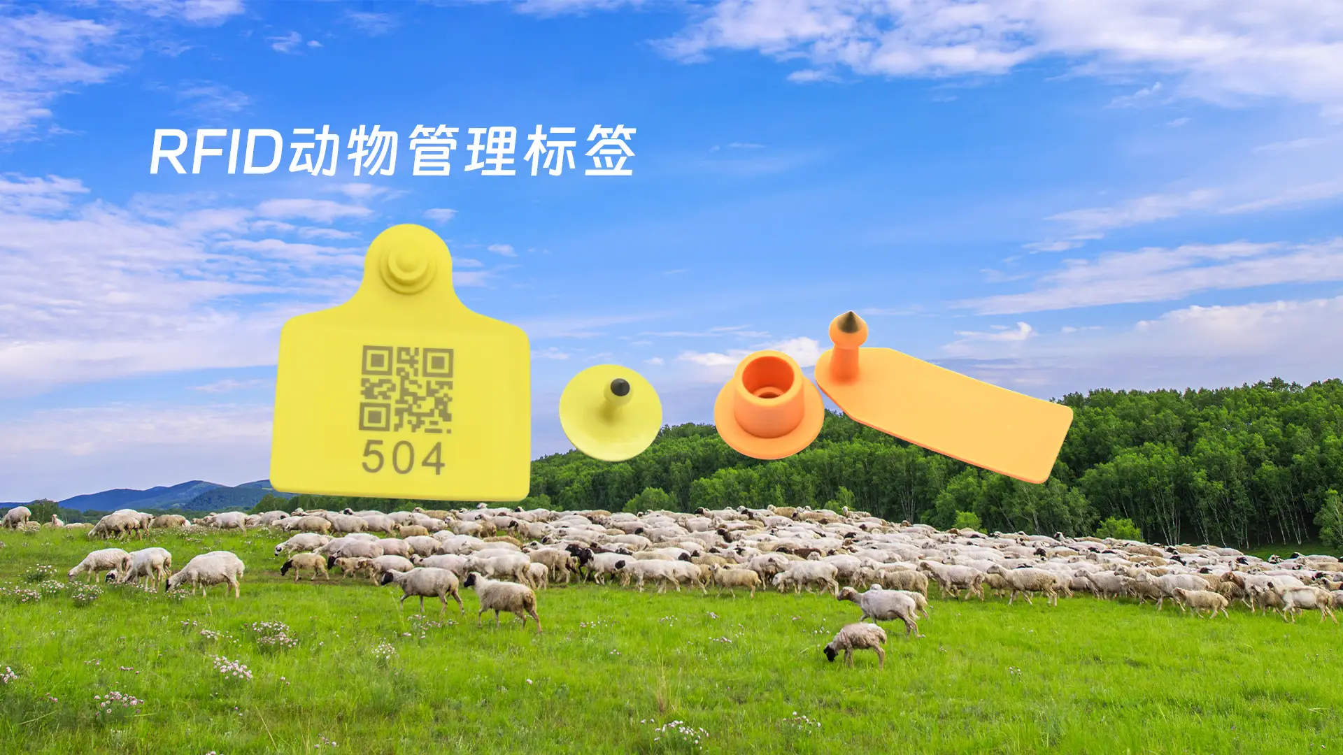 RFID助力畜牧养殖从个体溯源到全链管理的变革-阿里云开发者社区