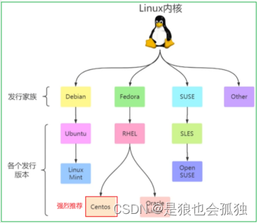 linux系统安装和配置网关