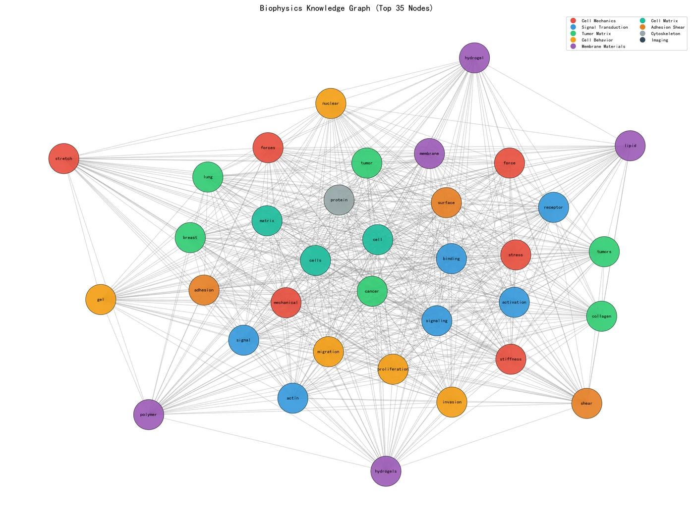 biophysics_knowledge_graph.png
