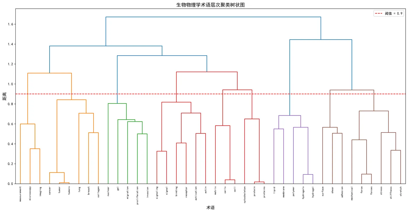biophysics_term_hierarchy.png