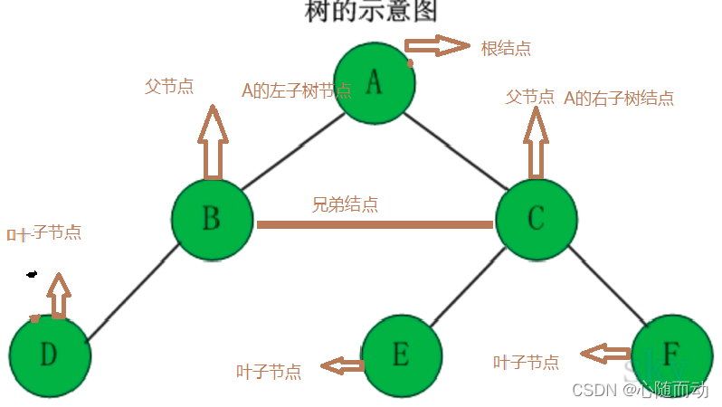 C#《数据结构》二叉树的创建和遍历