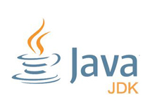 Java 起源