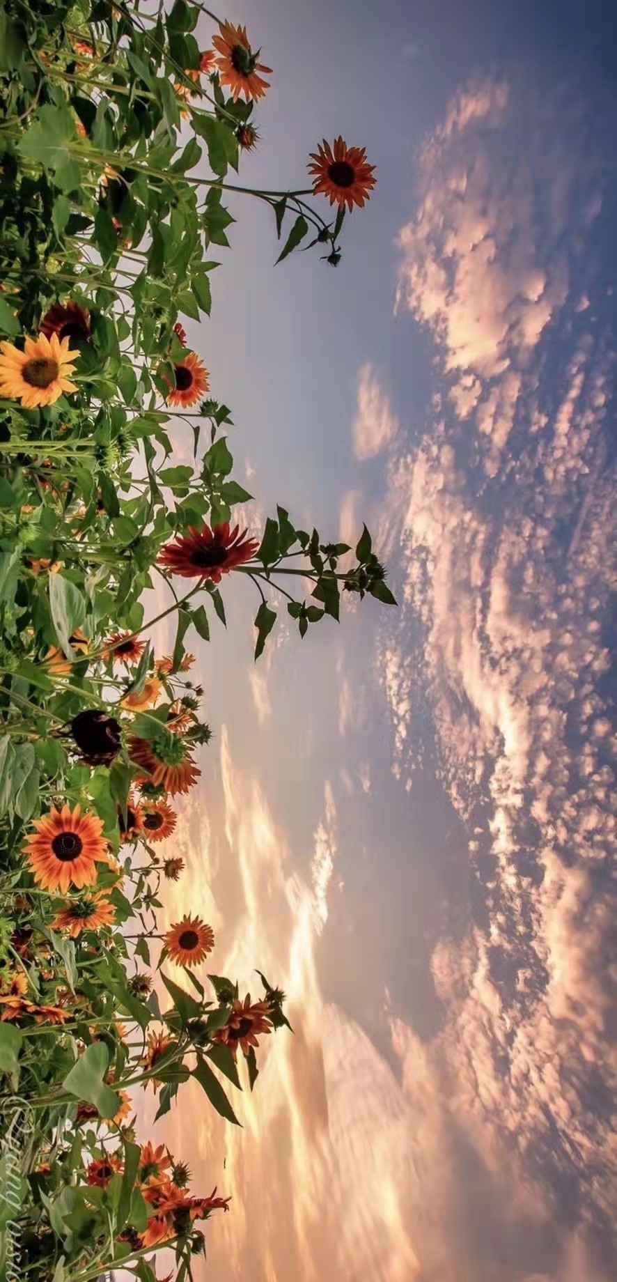 数据结构之环境监测系统(深度优先搜索)