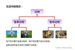 Java面向对象进阶2——继承