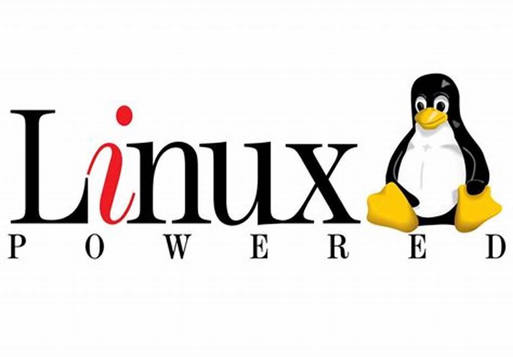 Linux目录与文件的相关操作