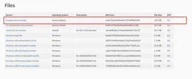 保姆级python项目离线部署服务器教程只需这一篇就够了(建议收藏)