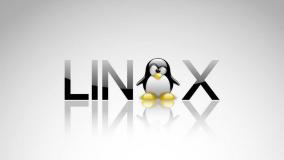Linux系统重装JDK