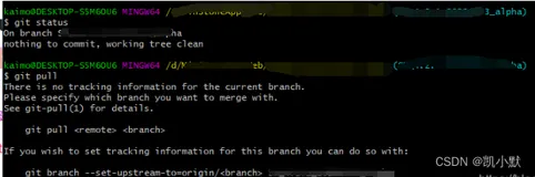 git提示：There is no tracking information for the current branch