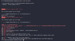 webpack进阶篇（二十九）：构建异常和中断处理