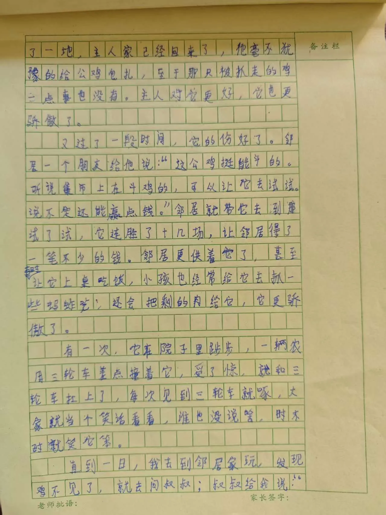 作文原稿第二页