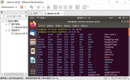【操作系统】实验一 Linux初步