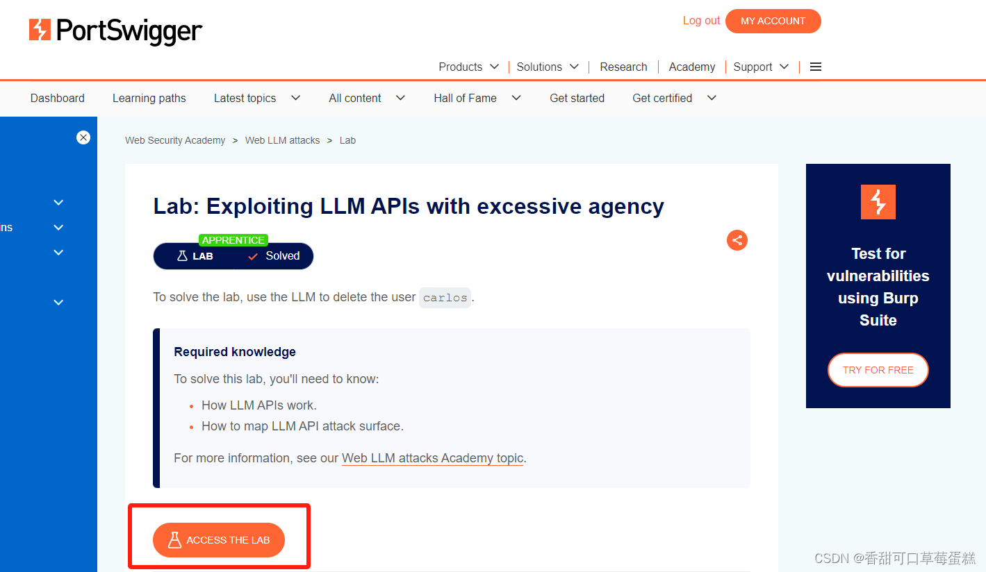 Web LLM 实验：利用 LLM API 实现 SQL 注入