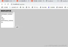php案例之数据库选择列表