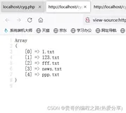 php案例：加限定条件(只找某个路径下自己所需要的文件类型的信息）