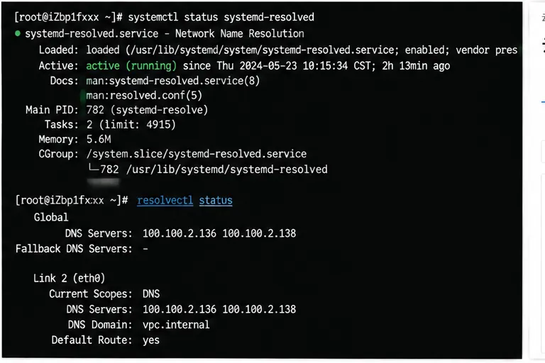 ECS_DNS_systemd-resolved状态.png