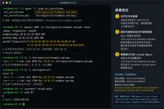  阿里云国际站：自动续签完成证书依旧异常？SSL 证书问题定位与处理