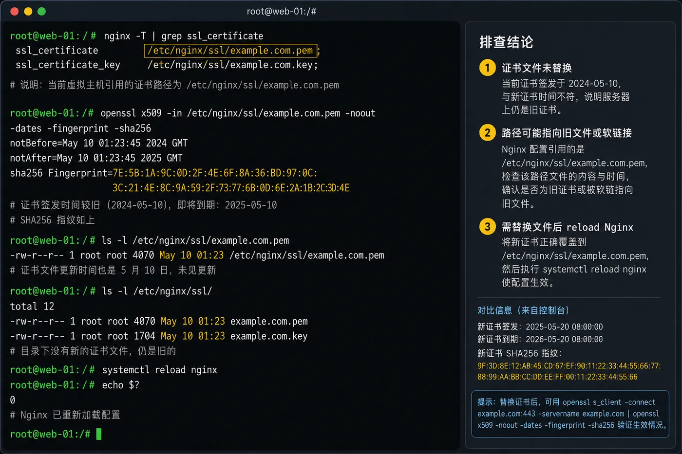 ChatGPT Image 2026年8月6日 09_32_07 (2).png