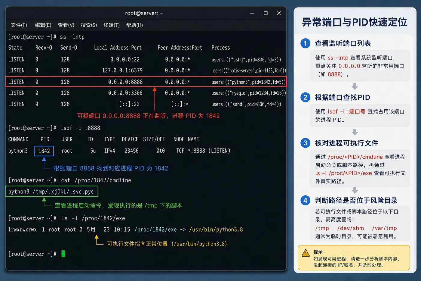 ChatGPT Image 2026年8月11日 10_35_15 (2).png
