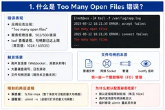  �����Ʒ���������վECS��Ϊ�γ���Too Many Open Files��