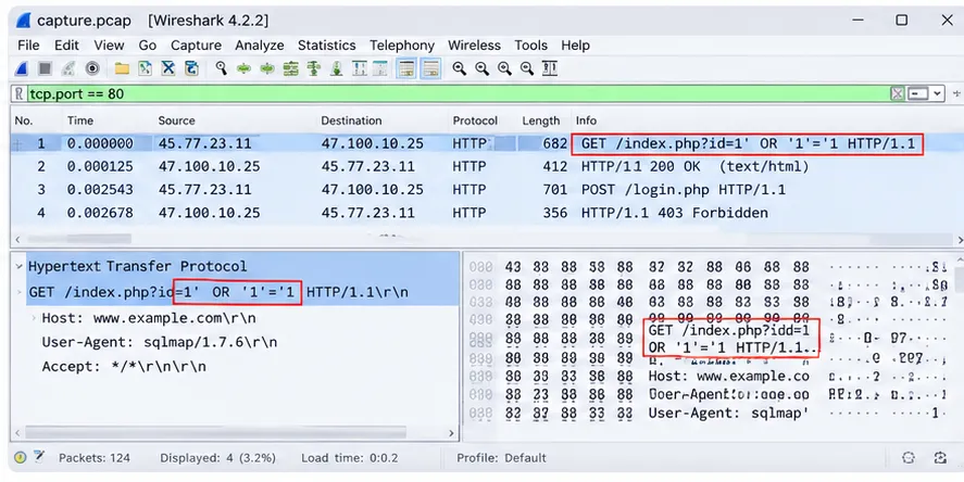 03_wireshark_packet_capture.png