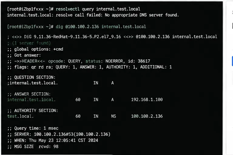 ECS_DNS_resolvectl与dig排查.png