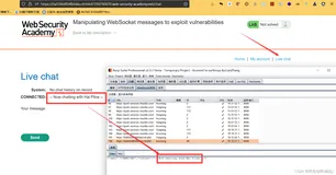 【BP靶场portswigger-客户端16】测试WebSockets安全漏洞-3个实验（全）