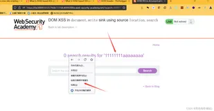 【BP靶场portswigger-客户端11】跨站点脚本XSS-10个实验（下）