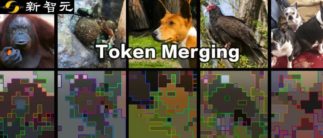 加速ViT模型新思路！Meta推出Token Merging，不靠剪枝靠合并-阿里云开发者社区