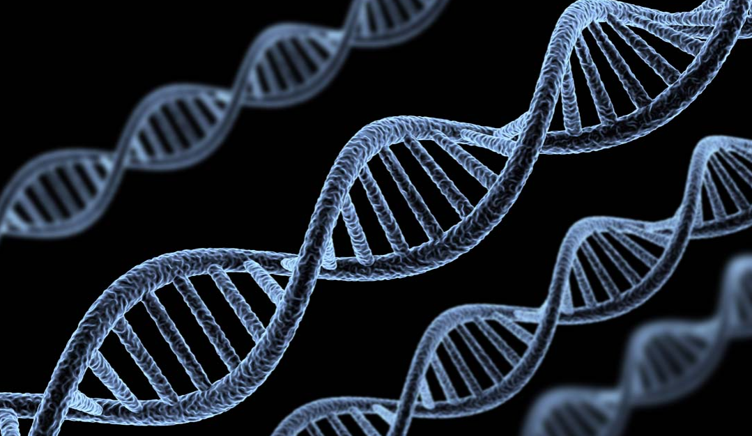 用于 DNA 测序的机器学习模型，理论上可以解码任何测序读数中所编码的数据值