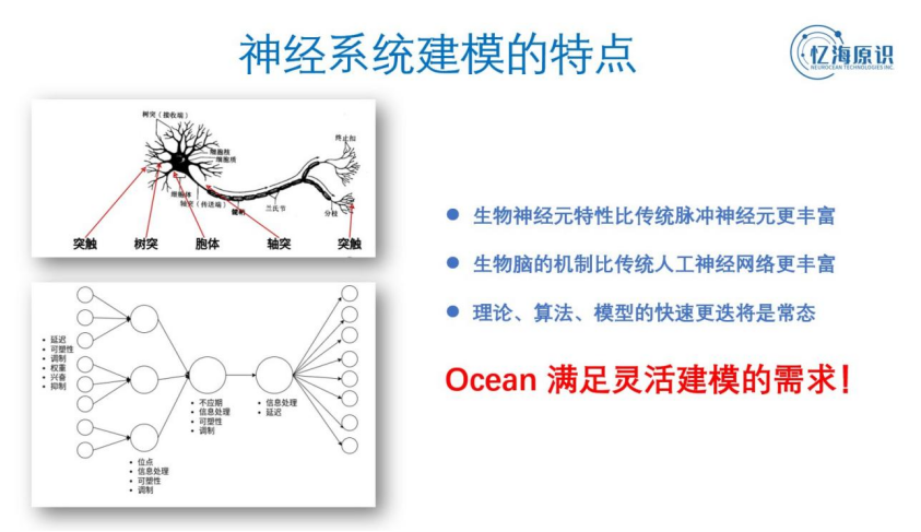 忆海原识发布类脑计算平台,下一代AI突破口到来!(2)