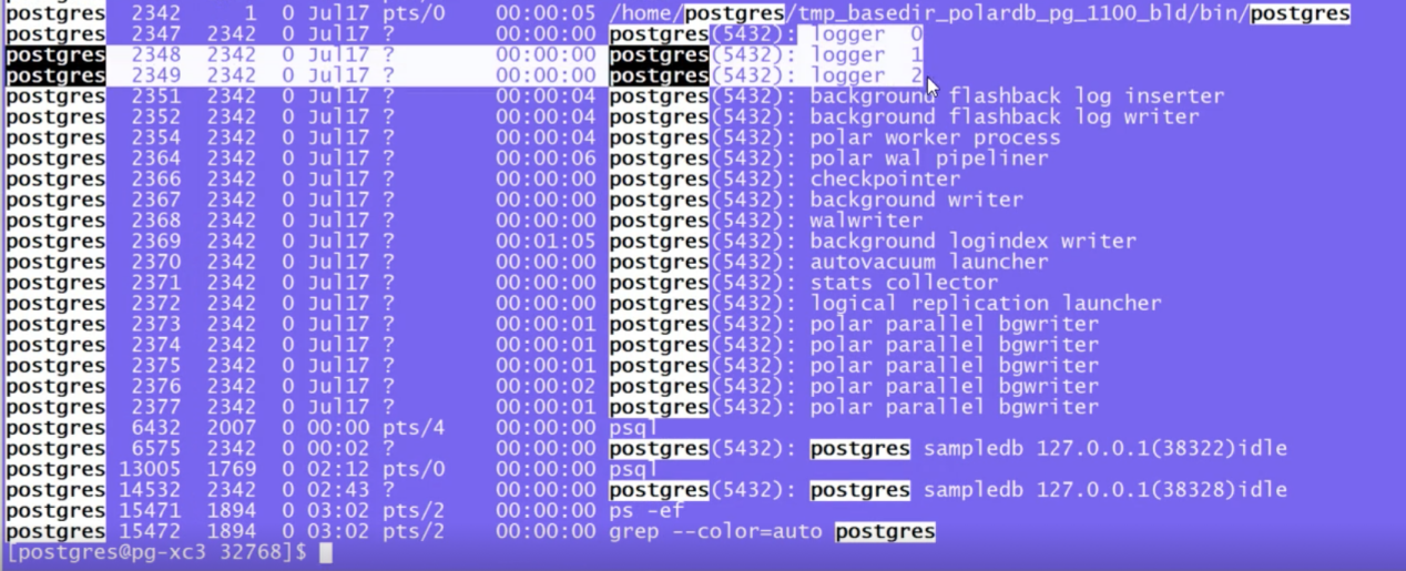 PolarDB for PostgreSQL 开源必读手册-PolarDB数据库结构（下）